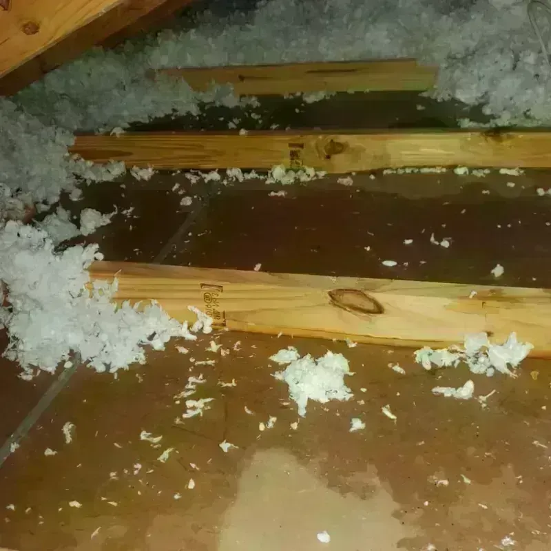 Attic Water Damage in Peebles, OH