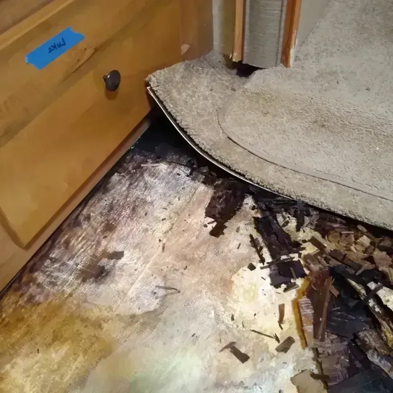 Best Wood Floor Water Damage Service in Peebles, OH